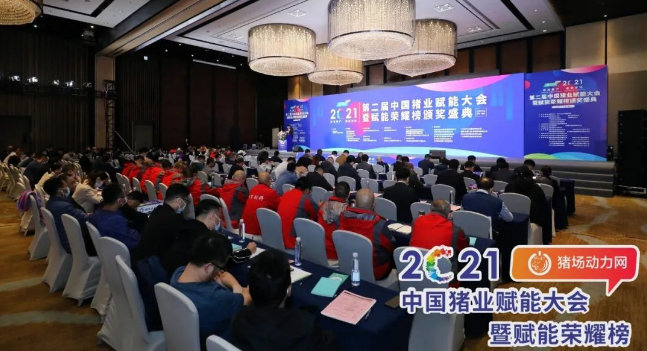 正康生?Plus榮獲“2021年度匠心飼料添加劑”！
